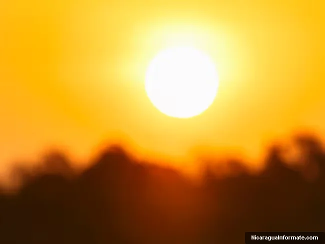 Incendios queman 150 millones de hectáreas y alertan por El Niño